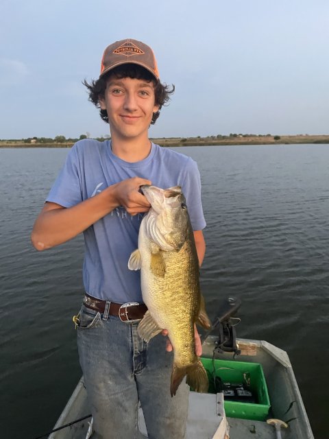 David Harrison Story Catch