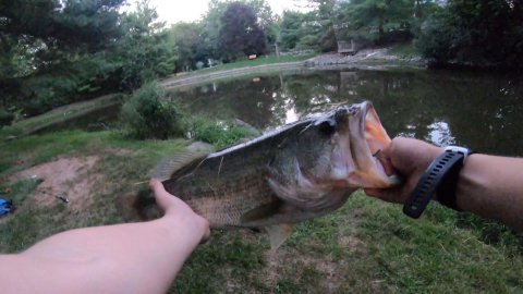 Tyson Caldwell Story Catch