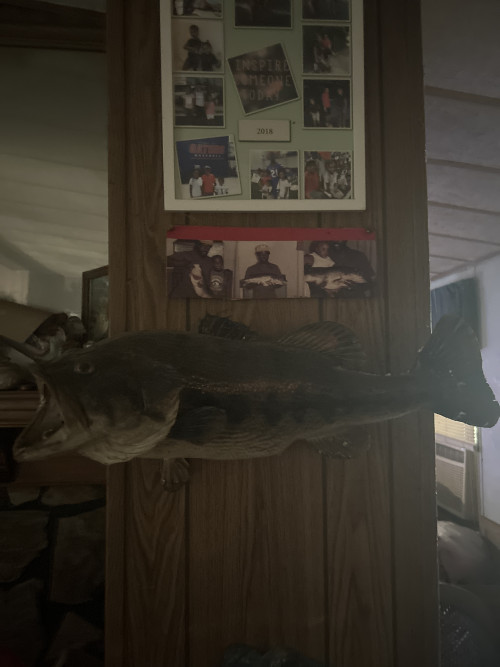 avonte nix Story Catch