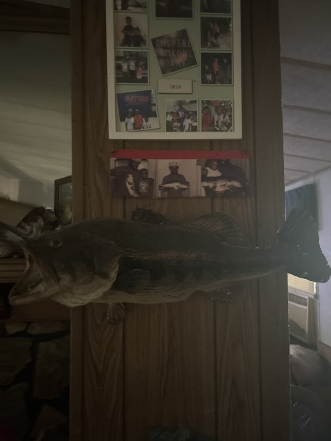 avonte nix Story Catch