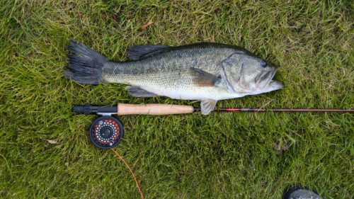 Jonah Sens Story Catch