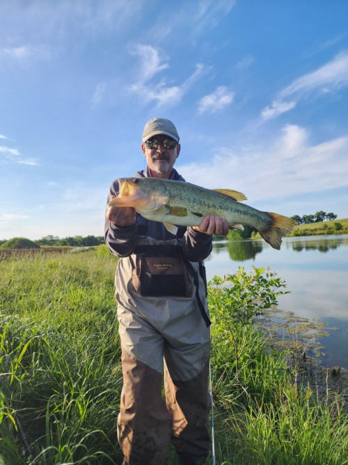 Steven Simon Story Catch