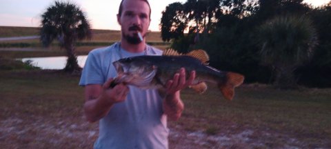 Chris Christmas Story Catch