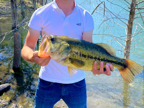 Seth Wagner Story Catch