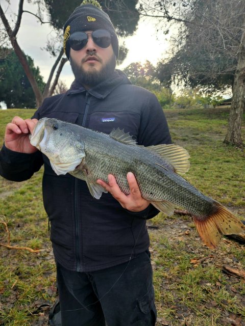 Carlos Gamboa Story Catch