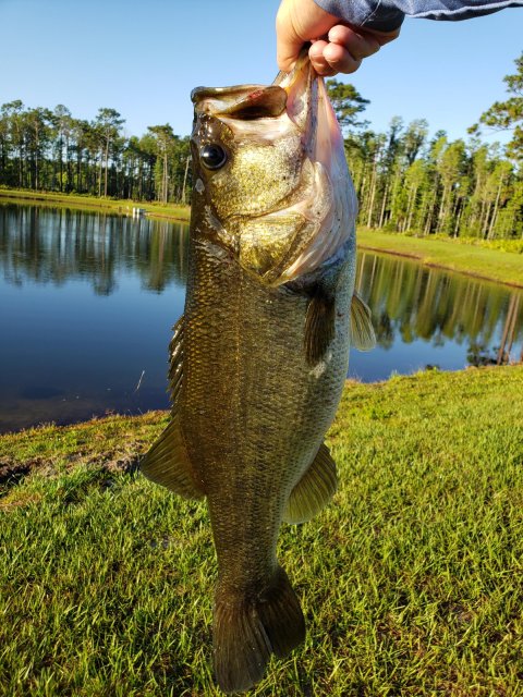 Tyler Burke Story Catch