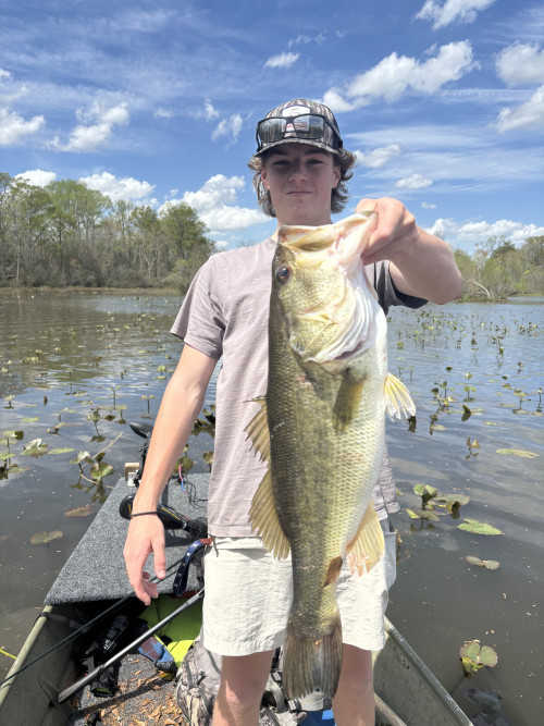 Palmer Odom Story Catch