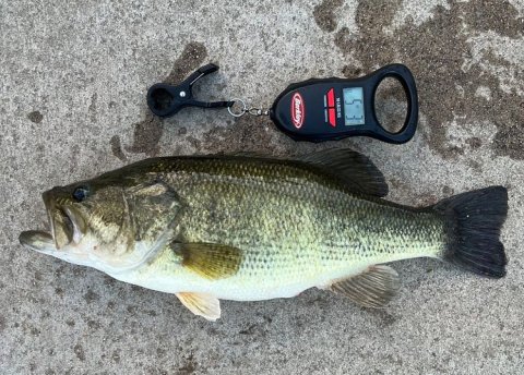 John Tristan Story Catch