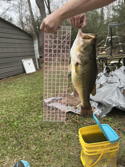 Lucas Freeman Story Catch