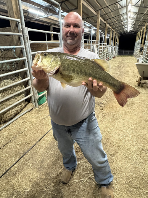 David Johnson Story Catch