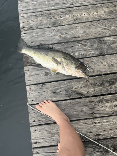 Colten Weiss Story Catch