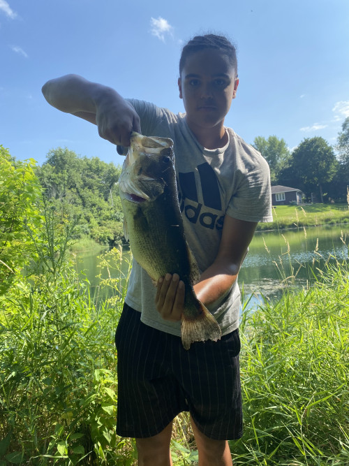 Darius Harrington Story Catch