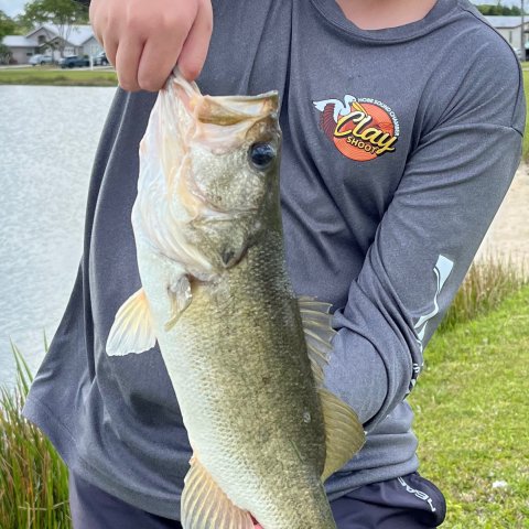 Wyatt Cooper Story Catch