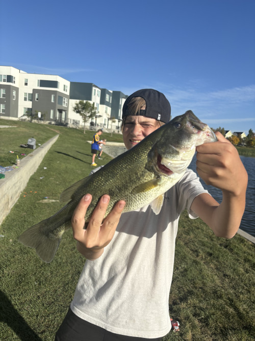 Kingston Gearhart Story Catch