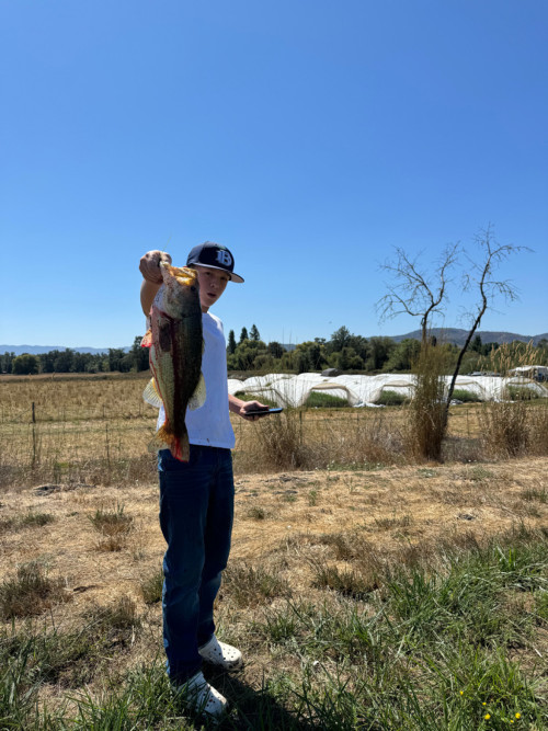 Steven Hoare Story Catch