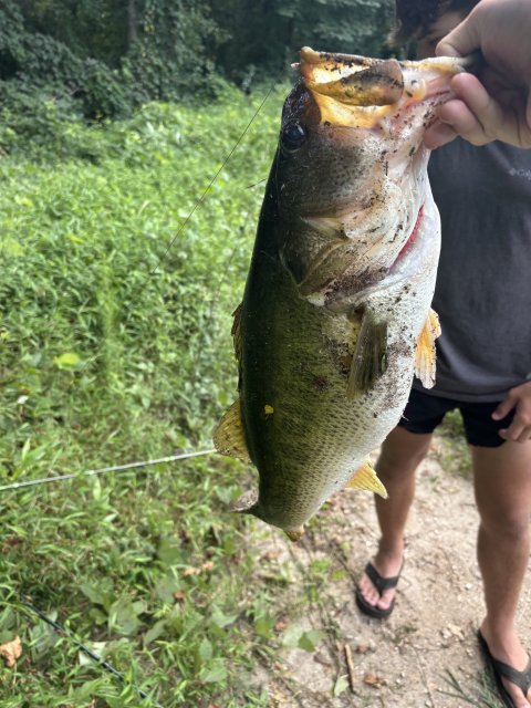 Palmer Odom Story Catch