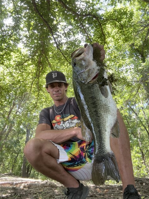 Shane Tisdale Story Catch