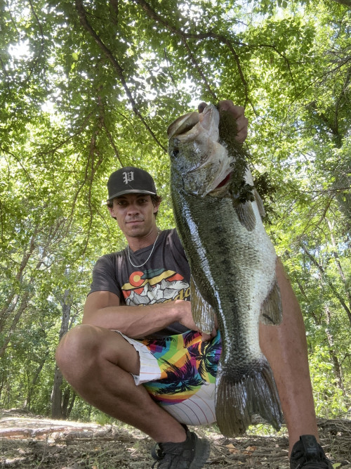 Shane Tisdale Story Catch