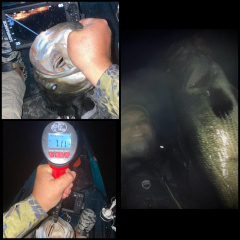 Donald Murphy Story Catch