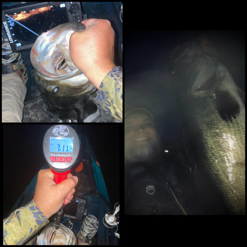 Donald Murphy Story Catch