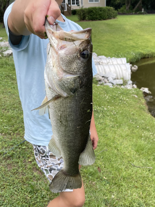 Brady Truncale Story Catch