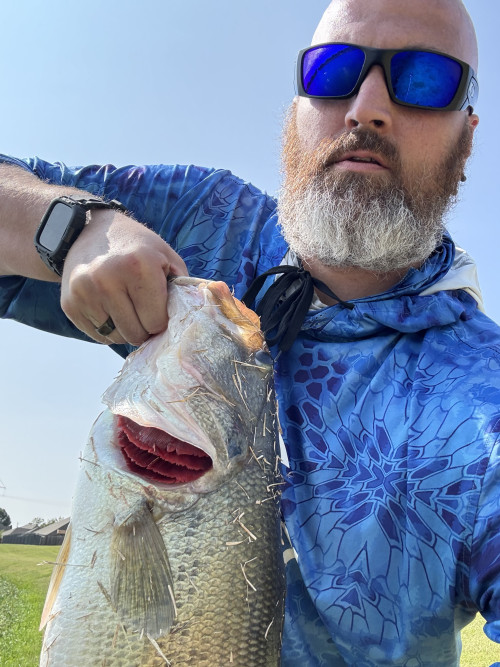 Brian Waterhouse Story Catch