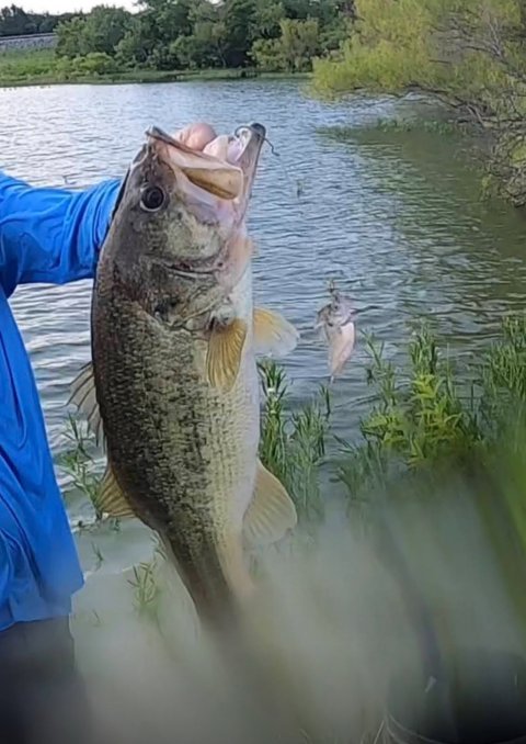 Jael Giles Story Catch