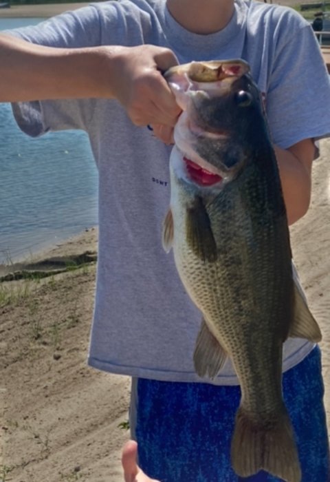 Everett Gay Story Catch