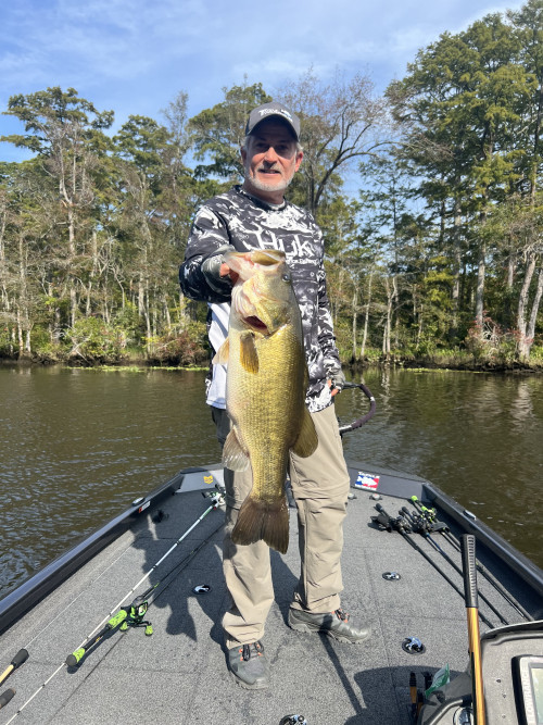 James Williams Story Catch