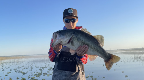 Parker Jackson Story Catch