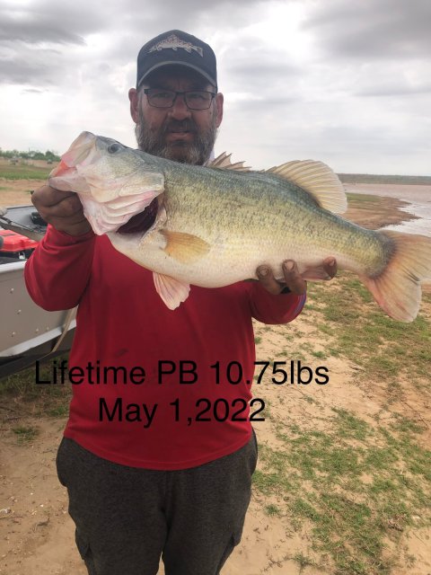 Edward Abendroth Story Catch