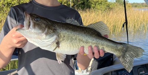 jacob hilyard Story Catch