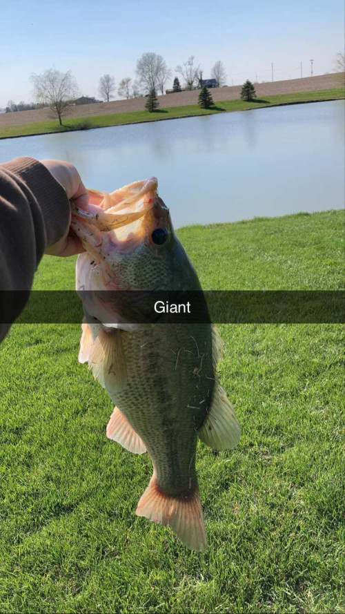 Lane Robards Story Catch