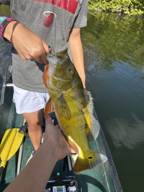 Ryland Frohring Story Catch