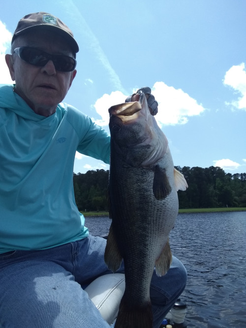 Buster Harrill Story Catch