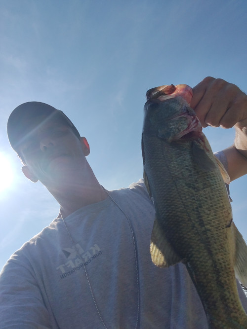 Jay Vincent Story Catch