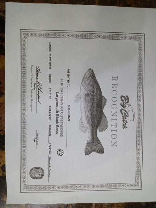 Jerry Sciacchitano Story Catch