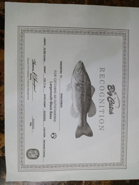 Jerry Sciacchitano Story Catch