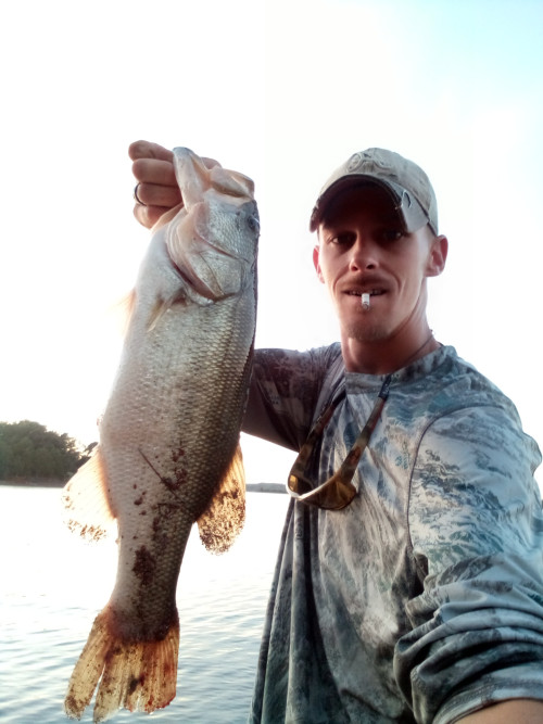 Daniel Babb Story Catch