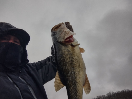 Joel Russell Story Catch