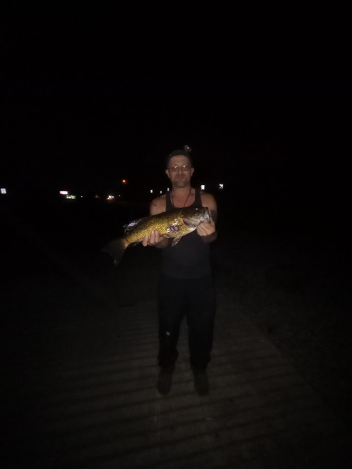 Christopher Lee Story Catch