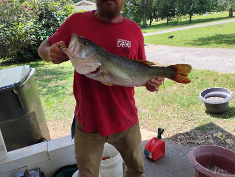 Jason Lowe Story Catch