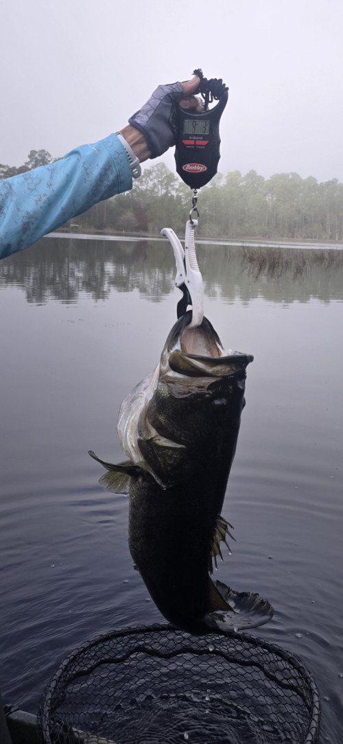 Tracy Joseph Story Catch