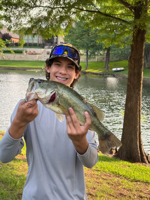 William Mcbain Story Catch