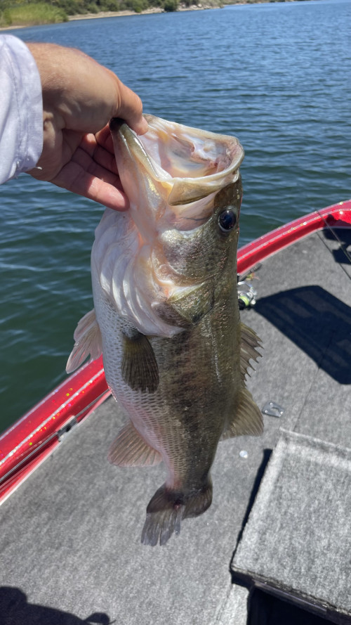 Doug Haney Story Catch