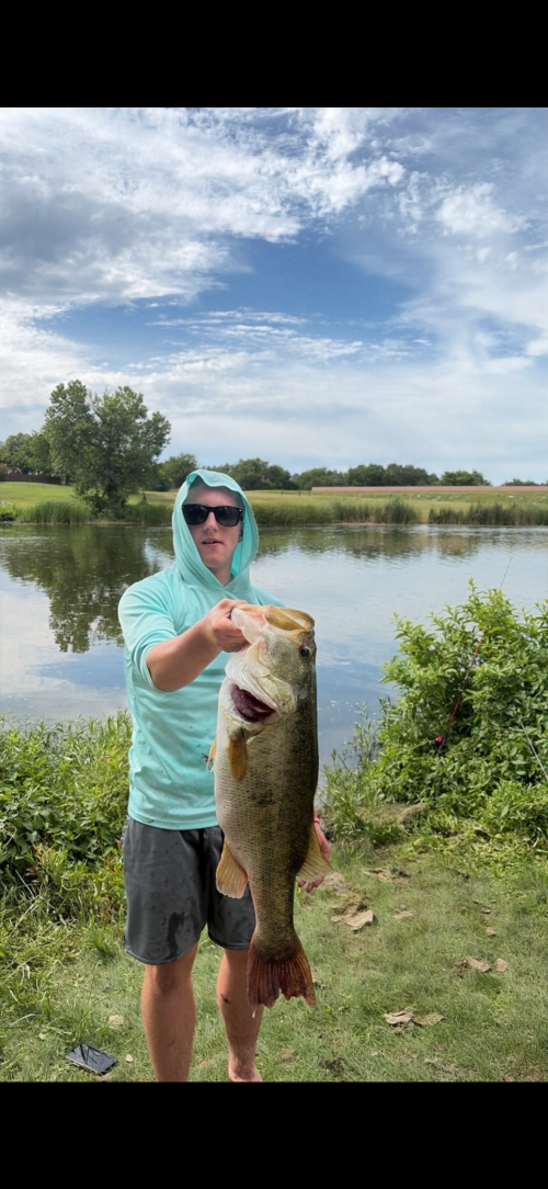 Harrison Hunter Story Catch