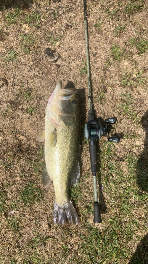 Jacob Hornbaker Story Catch