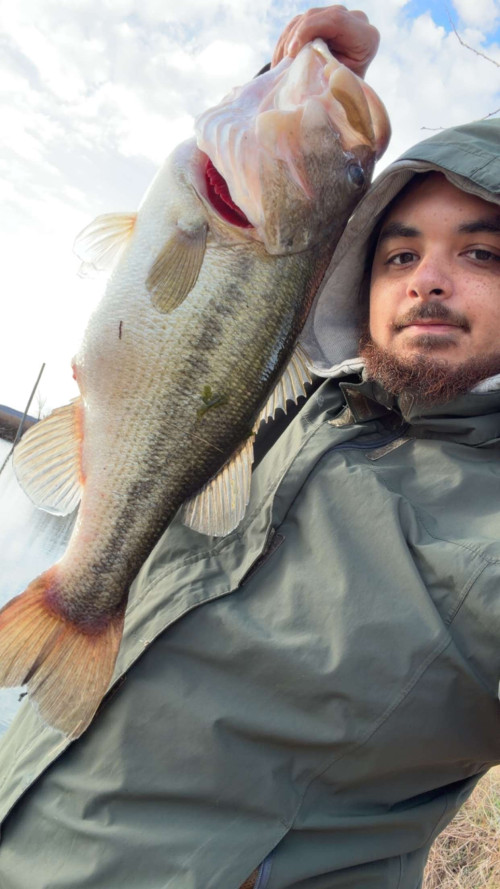 Brejay Patton Story Catch