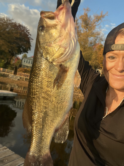 Kari LaRose Story Catch