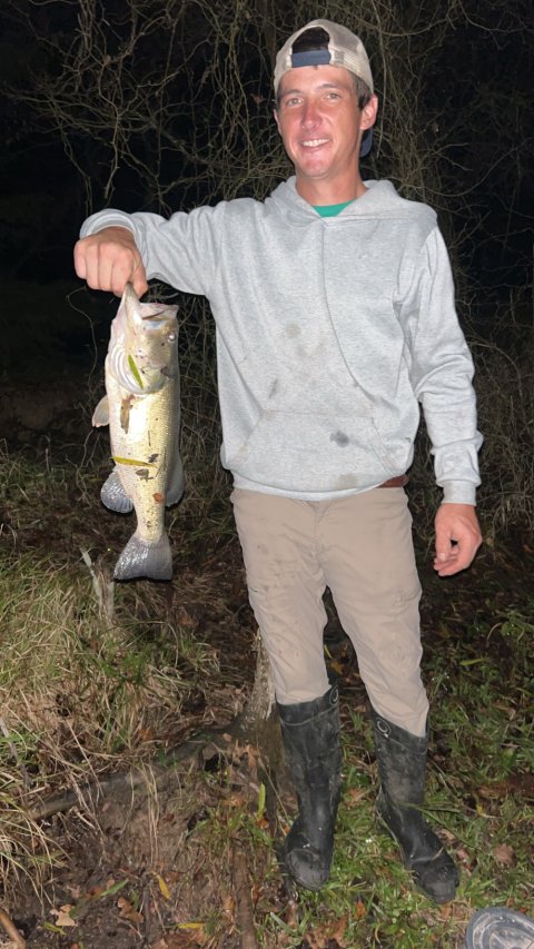 Dylan Reeves Story Catch